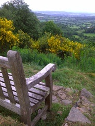 bench