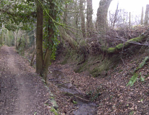 Bridleway west of the Malvern Hills