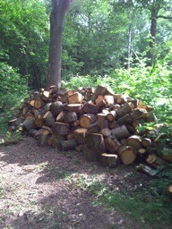 short_log_pile